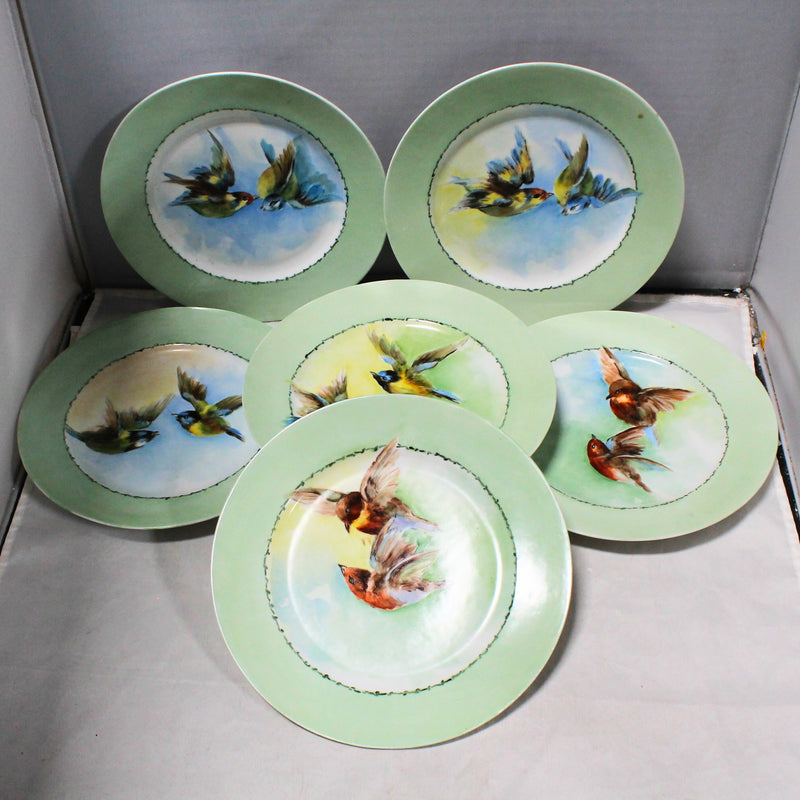Lot of 6: Unbranded Vintage Plates Made in Austria, Rare