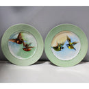 Lot of 6: Unbranded Vintage Plates Made in Austria, Rare