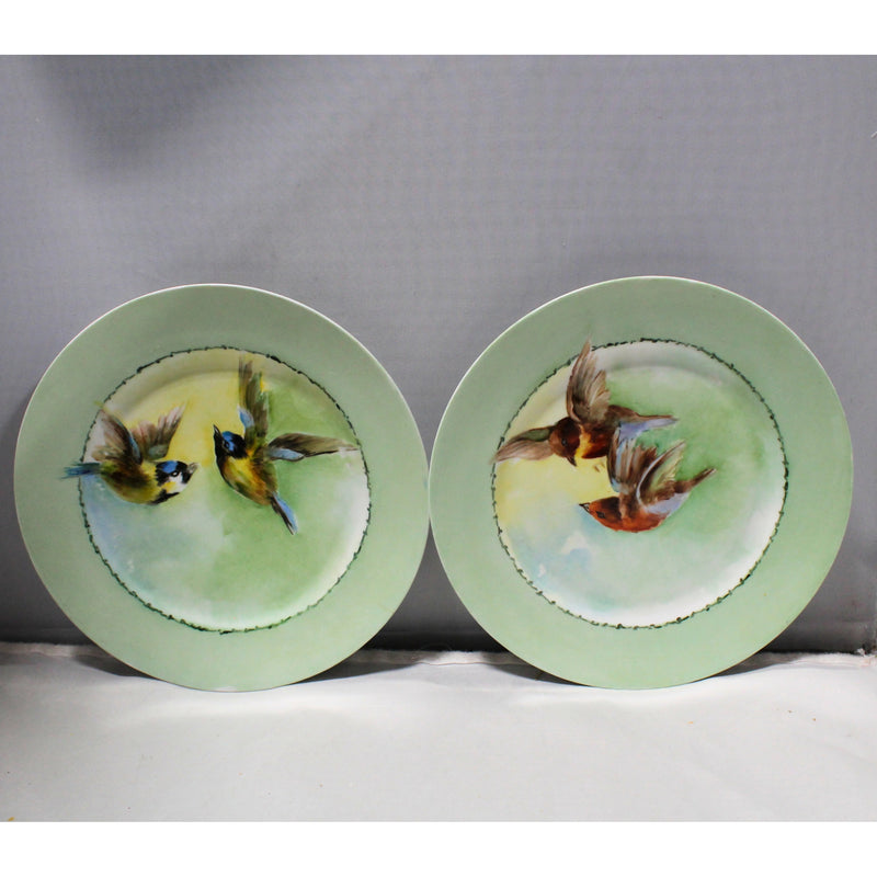 Lot of 6: Unbranded Vintage Plates Made in Austria, Rare