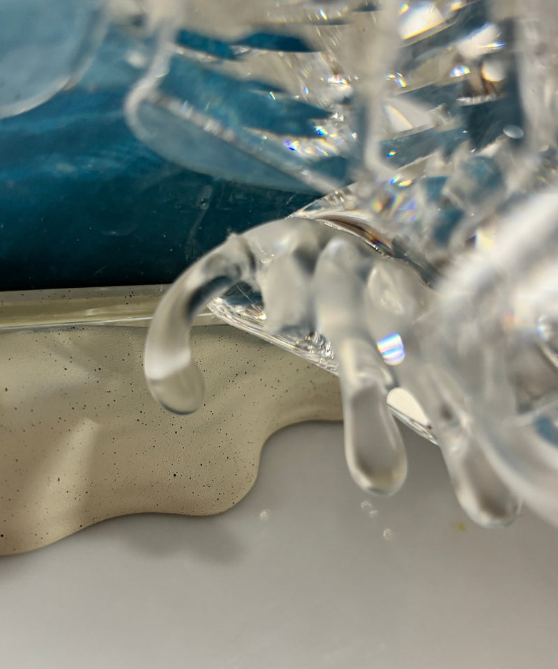 Swarovski | Wonders of the Sea Collection