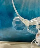 Swarovski Wonders of the Sea Crystal Sculpture, Please Read