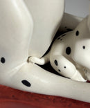 WDCC, Disney 101 Dalmatians - Proud Pongo, Please Read