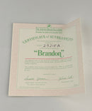 Ashton-Drake Galleries Brandon Porcelain Doll NIB Original Box, Wrist Tag, COA