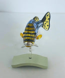 Swarovski 656974 Catumbela Paradise Fish Crystal Figurine w/ Box Repaired
