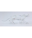 Swarovski 217093 | Leopard | Scratched Belly