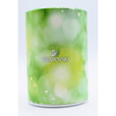 Swarovski 5004629 | Soccer Champion Mo | Reglued Ear