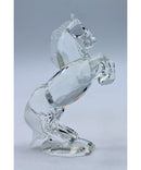 Swarovski 174958 | Stallion White | Scratched