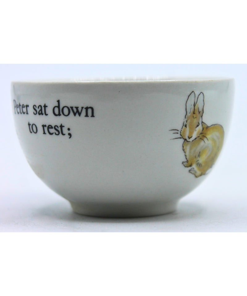 Wedgwood | Peter Rabbit Teapot and Bowl | Missing Piece