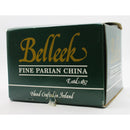 Belleek Millenium Country Trellis & Celtic Vision Pitcher | Please Read