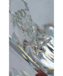 Swarovski 164614 | Care for Me Whales | Please Read