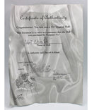 Limited Original Dolls by Tre' - Hot Chocolate Barbie | Please Read