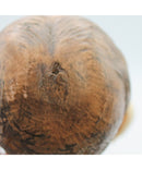 Schoenhut Wooden Spring Jointed Doll | Please Read