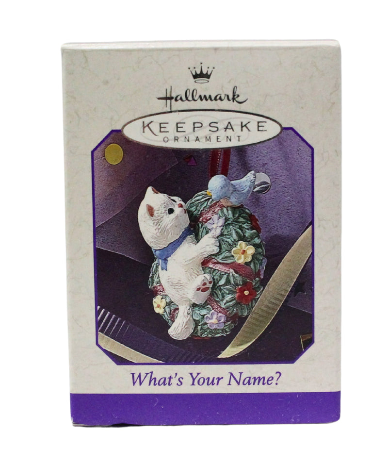 Hallmark Ornament: 1998 What's Your Name? | QEO8443