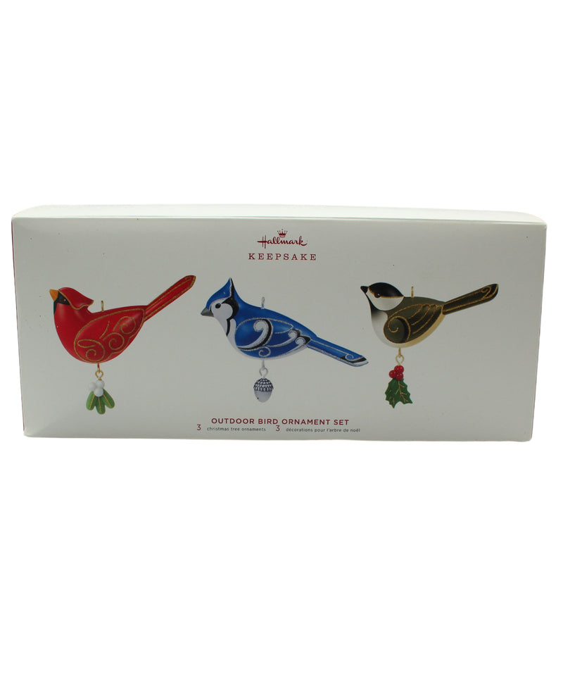 Hallmark Ornament: 2019 Outdoor Bird Ornament Set | QGO3387