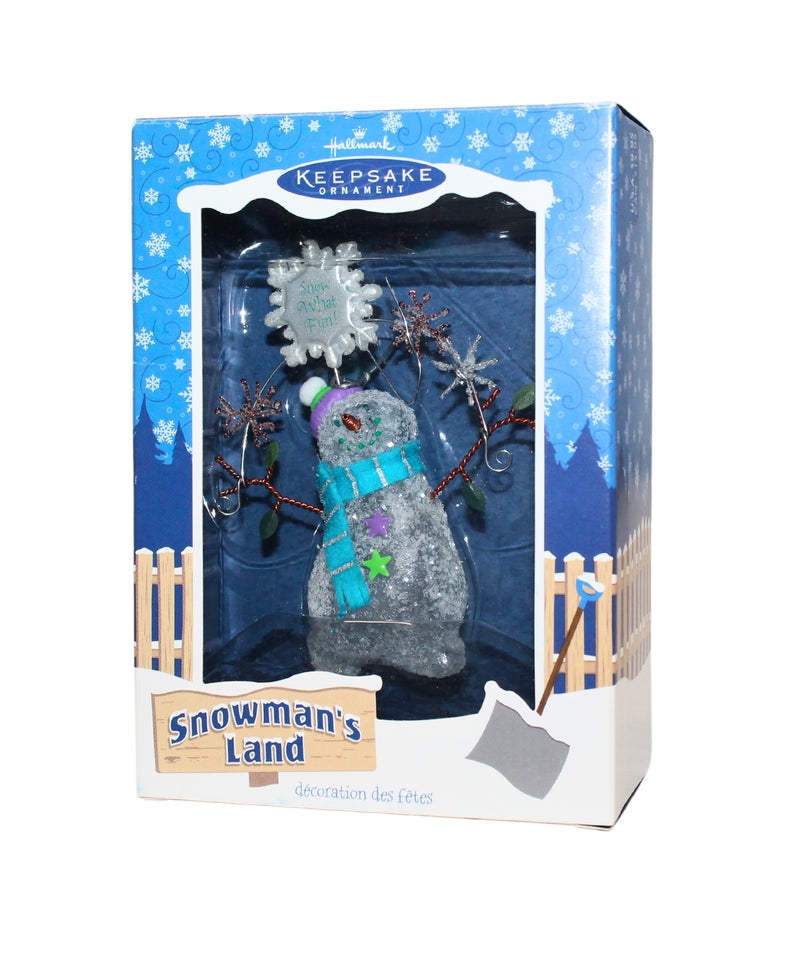 Hallmark Ornament: 2003 Snow What Fun! | QP1127