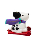 Hallmark Ornament: 1996 Grandson  | QX5699