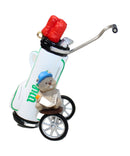 Hallmark Ornament: 1995 Gopher Fun  | QX5887