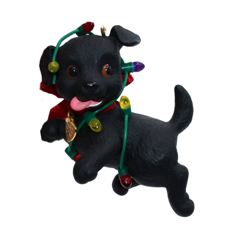 Hallmark Ornament: 1998 Puppy Love | QX6163