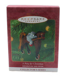Hallmark Ornament: 2001 A Pony for Christmas | QX6995