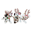 Hallmark Ornament: 2004 Oddball, Little Dipper, and Domino | QXD5074