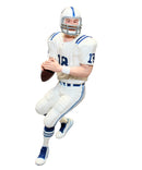 Hallmark Ornament: 2008 Peyton Manning | QXE9054 | NFL