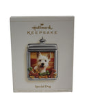 Hallmark Ornament: 2006 Special Dog | QXG2966