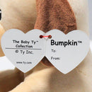 Baby Ty - Bumpkin the Dog