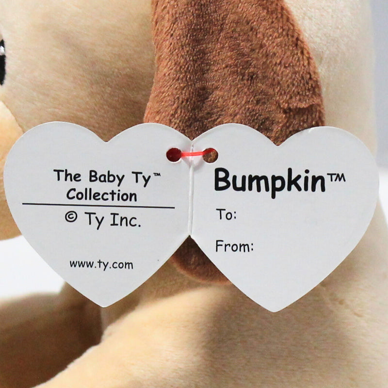 Baby Ty - Bumpkin the Dog