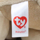 Baby Ty - Bumpkin the Dog