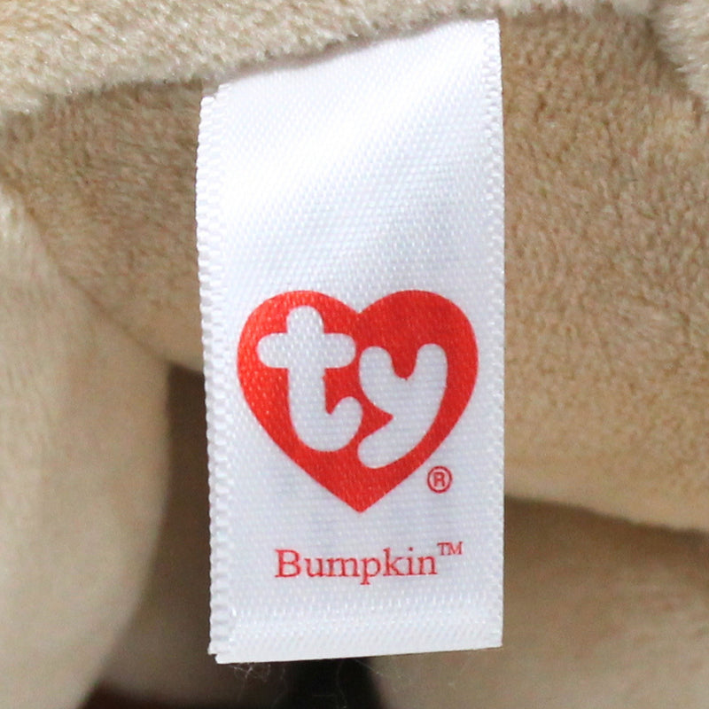 Baby Ty - Bumpkin the Dog