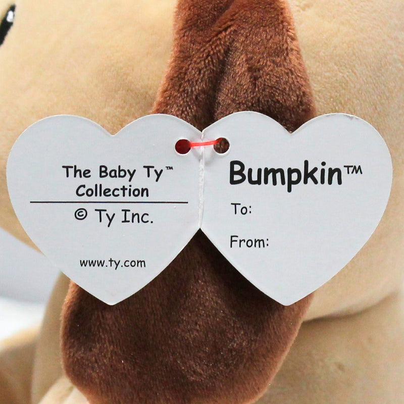 Baby Ty - Bumpkin the Brown Dog, Medium