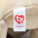 Baby Ty - Bumpkin the Brown Dog, Medium