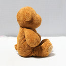 Baby Ty - My Baby Bear the Brown Teddy Bear