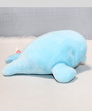 Baby Ty - Squirt the Blue Seal