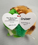 Ty Beanie Balls (Puffies) - Cruiser the Turtle