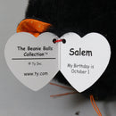 Ty Beanie Balls (Puffies) - Salem the Cat
