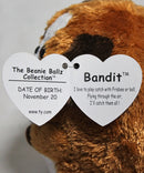 Beanie Ballz- Bandit the Dog, Solid Eyes
