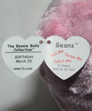 Beanie Ballz- Beans the Pig, Solid Eyes