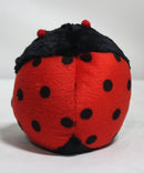 Beanie Ballz- Dots the Ladybug, Solid Eyes