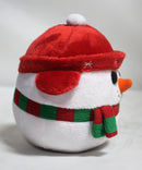 Beanie Ballz- Icebox the Snowman, Glitter Eyes