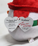 Beanie Ballz- Icebox the Snowman, Glitter Eyes