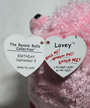 Beanie Ballz- Lovey the Pink Poodle, Solid Eyes