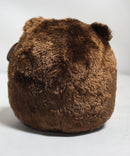 Beanie Ballz- Morsel the Bear, Solid Eyes