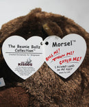 Beanie Ballz- Morsel the Bear, Solid Eyes