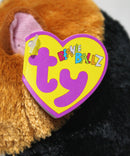 Beanie Ballz- Speedy the Guinea Pig, Solid Eyes