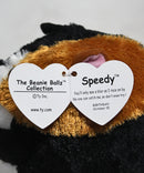 Beanie Ballz- Speedy the Guinea Pig, Solid Eyes