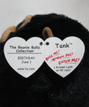 Beanie Ballz- Tank the Gorilla, Glitter Eyes