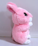 Ty Basket Beanies - Jasper the Pink Bunny