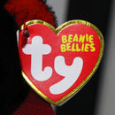 Ty Beanie Bellies - Bearla the Vampire Bear