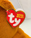 Ty Beanie Bellies - Duncan the Teddy Bear, Medium (9")